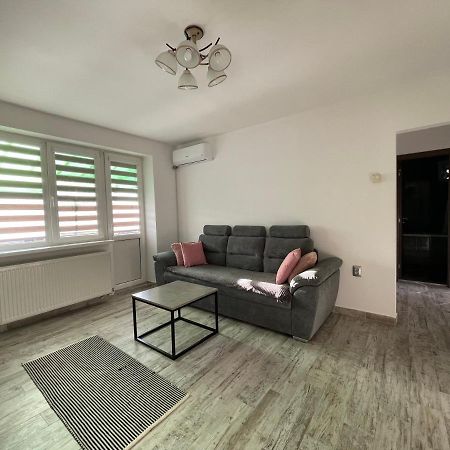Tei Apartment - Lucian Blaga Satu Mare Exterior photo